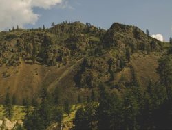 Tiga Pencari Gaharu Hilang Misterius di Gunung Natuna