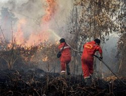 Riau Siaga Karhutla, Status Darurat Ditetapkan!