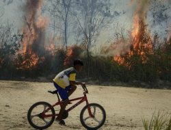 Riau Diselimuti Asap, Ratusan Titik Api Terdeteksi