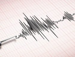 Pangandaran Diguncang Gempa M 3,9, Getaran Terasa Hingga Garut