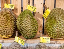 Durian Selundupan Malaysia Banjiri RI, Petani Lokal Meradang!