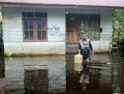 Ribuan Warga Aceh Barat Mengungsi Akibat Banjir Luas