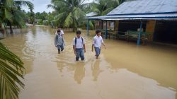 Sumut Berduka: Banjir dan Longsor Landa, 10 Nyawa Melayang
