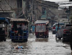 Rob Rendam Jakarta Utara, Warga Pluit Terjebak Banjir
