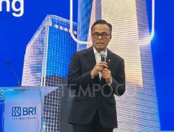 Era Baru Tambang Martabe: Danantara Bentuk Perminas