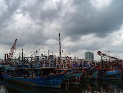 Cuaca Ekstrem Lumpuhkan Nelayan, Ratusan Desa Pesisir Merana