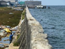 Tanggul Laut Raksasa Jawa Utara: Mega Proyek Triliunan Rupiah