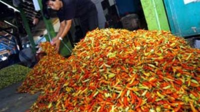 Jember Sambut Era Baru: Pasar Tanjung Dibangun Ulang Total