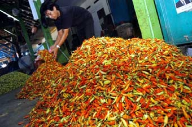 Jember Sambut Era Baru: Pasar Tanjung Dibangun Ulang Total