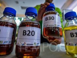 B40 Menguat: Alokasi 2026 Naik, Dorong Transisi Energi Nasional