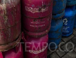 Harga LPG Nonsubsidi Meroket: Pertamina Jelaskan Kenaikan