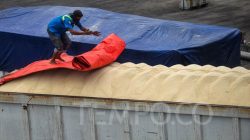 Produksi Gula Nasional Melonjak, Konsumsi Masyarakat Menurun