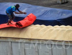 Produksi Gula Nasional Melonjak, Konsumsi Masyarakat Menurun