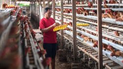 Inpres Swasembada Pangan Prabowo: Celios Ungkap Ancaman Ekonomi