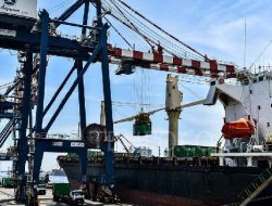 Ekonomi Tangguh: Surplus Dagang RI Februari 2026 Kian Melejit