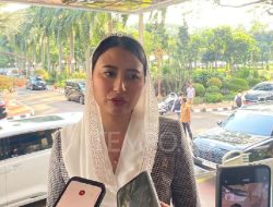 Minyakita Meroket Pemerintah Punya Jurus Jitu