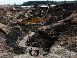 Timah Siap Meledak di Bursa Komoditas Terbaru