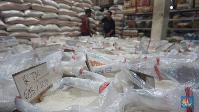 Mengejutkan Eks Menteri Jualan Beras di Pasar