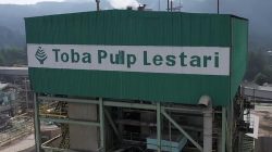 Kejagung Sikat Toba Pulp Skandal Pajak Rp2 T