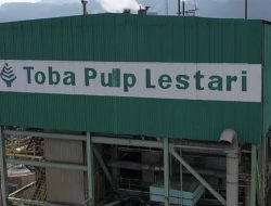Kejagung Sikat Toba Pulp Skandal Pajak Rp2 T