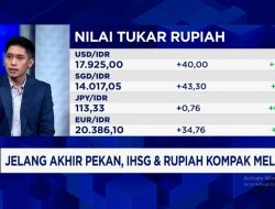 Alasan Asing Kabur dari RI