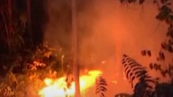 Teka Teki Hubungan TBLA dan Isu Kabut Asap