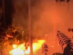 Teka Teki Hubungan TBLA dan Isu Kabut Asap